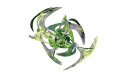 Apo7x-140320-5 y-white.jpg